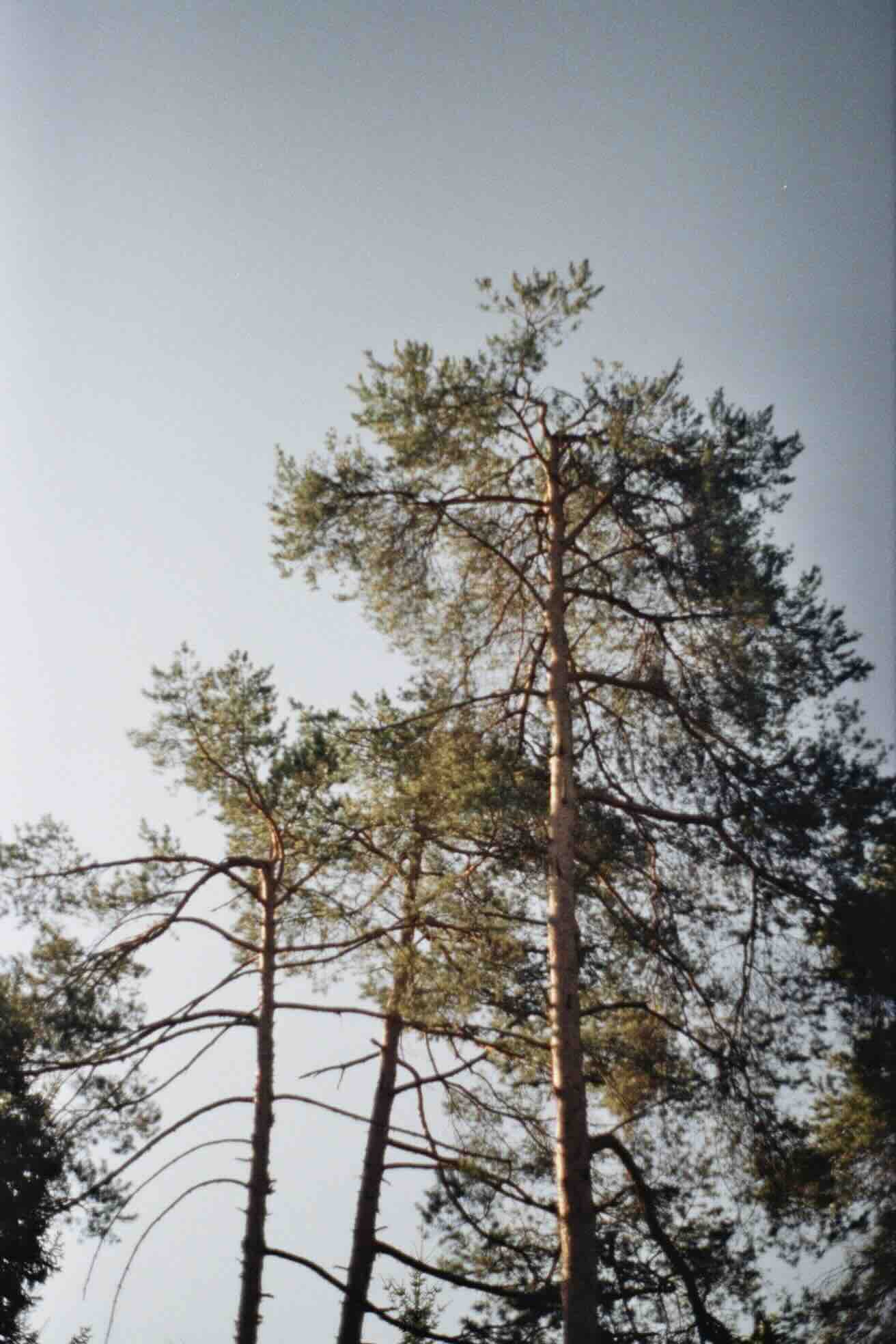 img0013 5